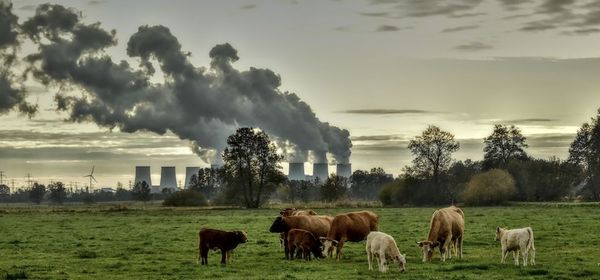 Altlasten als Goldgrube: Zefiro Methane überzeugt mit vollen Auftragsbüchern, Analysten sehen 200 % Potenzial