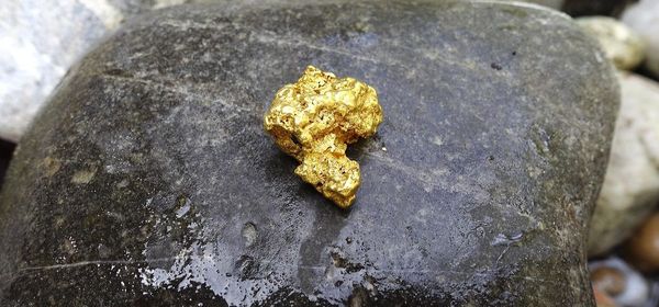Daten- und KI-Riese, Server-Boom und ein Gold-Joker! Ein Blick auf Palantir, Super Micro und Desert Gold!