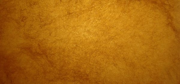 Lahontan Gold, Deutsche Telekom und Berkshire Hathaway: Drei Aktien mit frischem R&uuml;ckenwind
