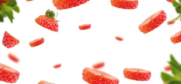 Scharfer Senf f&uuml;r s&uuml;&szlig;e Fr&uuml;chte: So l&auml;utet  MustGrow Biologics die Agrarwende ein